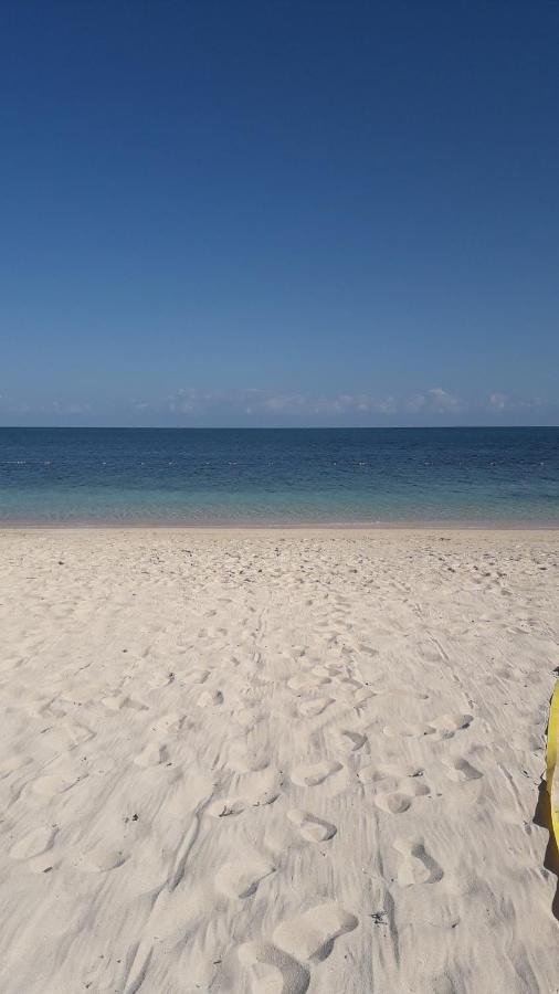 Seacastle Deluxe Studio Montego Bay Eksteriør bilde
