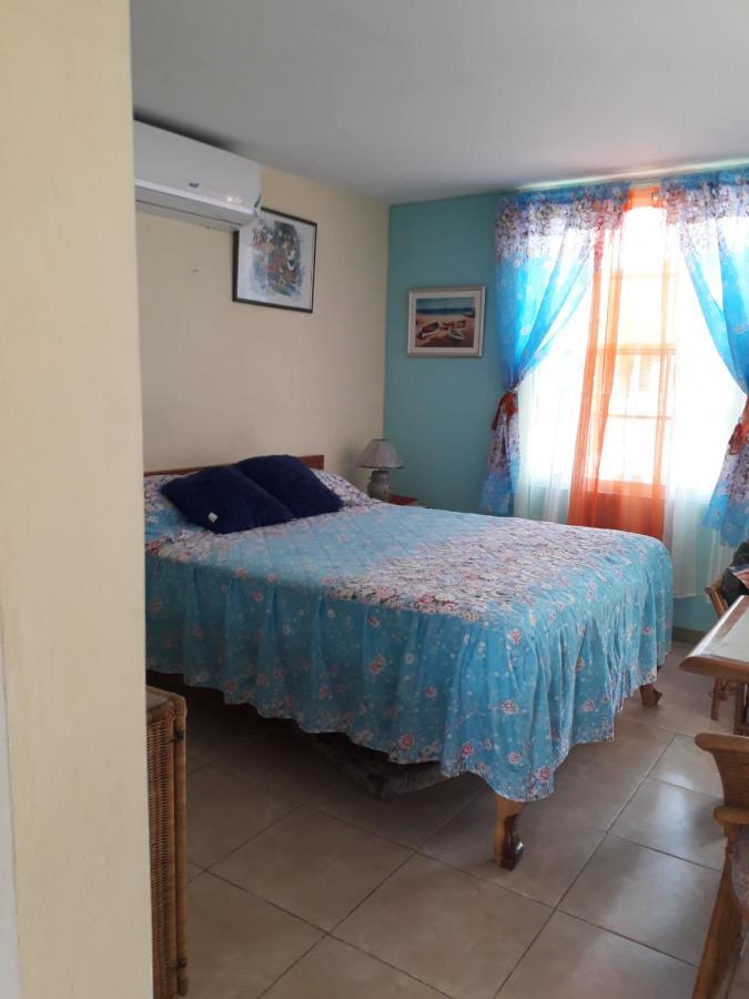 Seacastle Deluxe Studio Montego Bay Eksteriør bilde