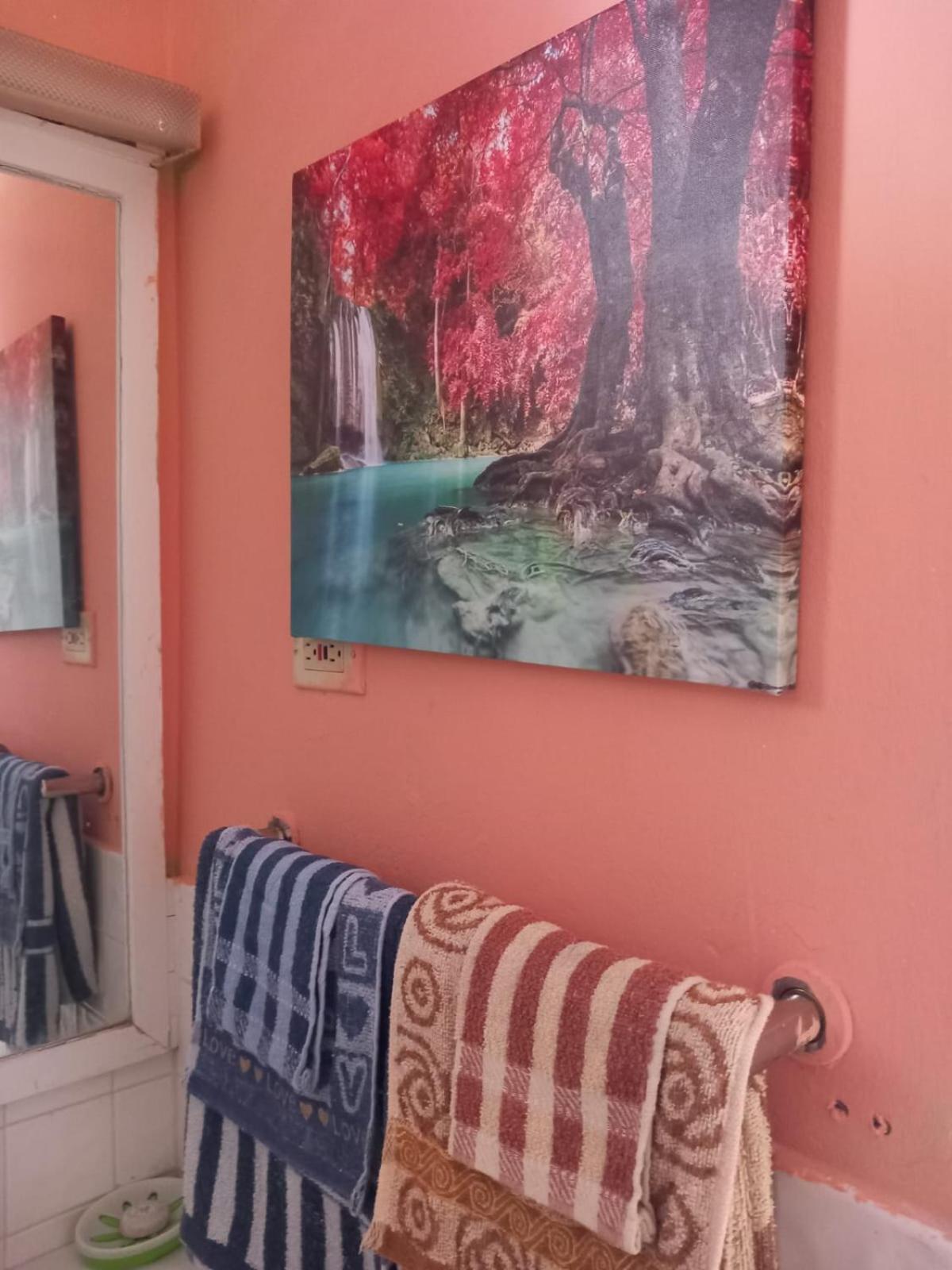 Seacastle Deluxe Studio Montego Bay Eksteriør bilde